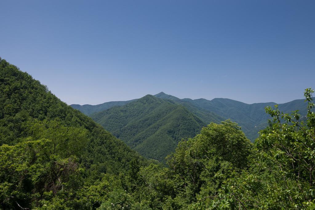 La Casa Nel Bosco-Senza Auto ξενώνας Ponte della Venturina Εξωτερικό φωτογραφία