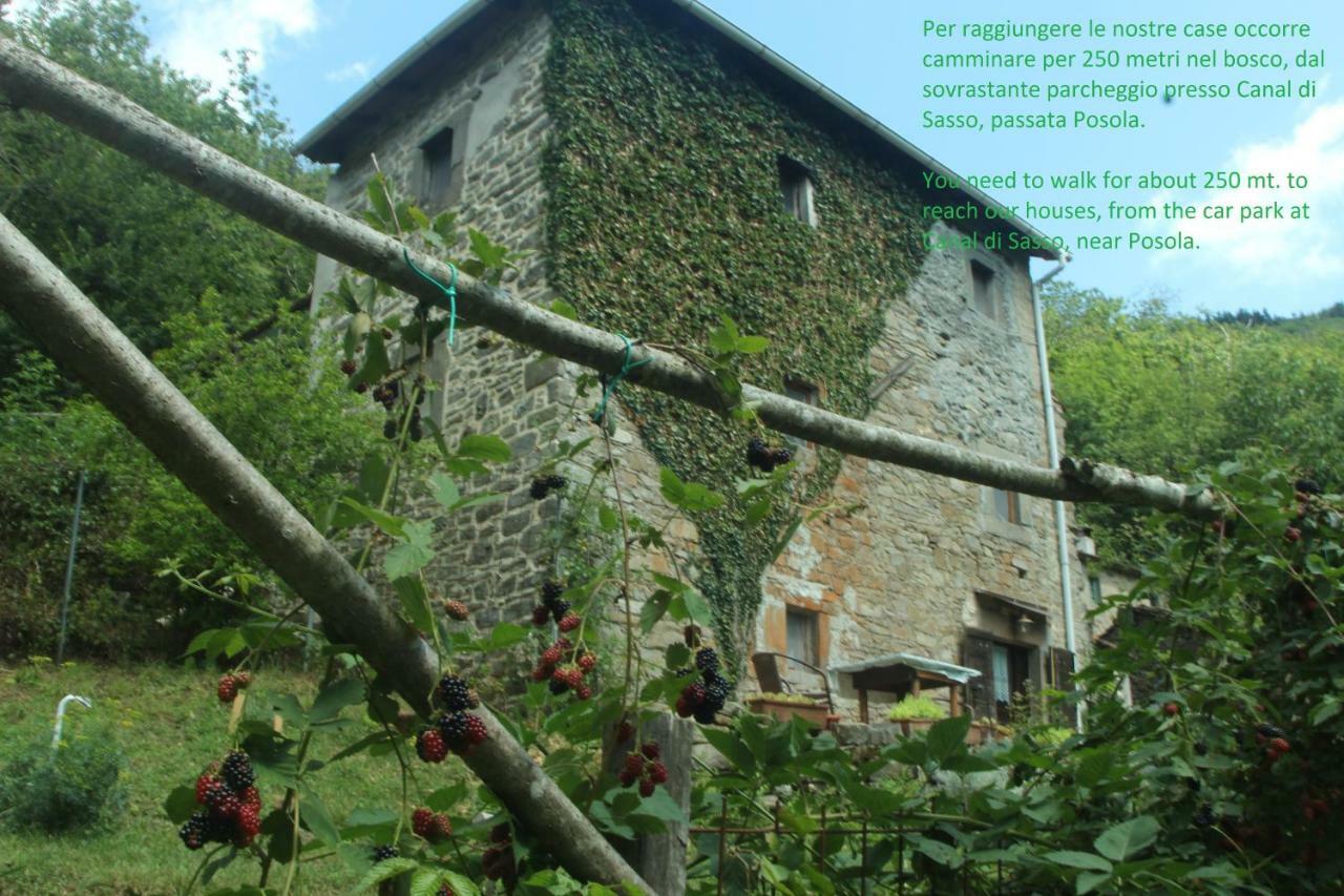 La Casa Nel Bosco-Senza Auto ξενώνας Ponte della Venturina Εξωτερικό φωτογραφία